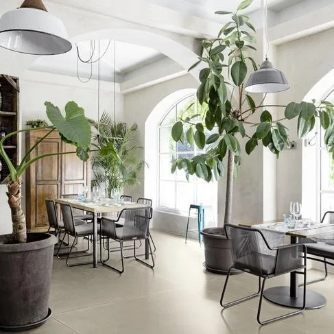 Marazzi
